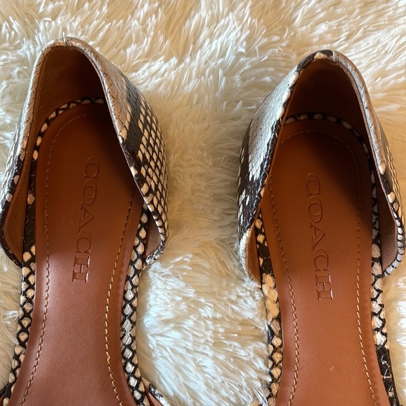 Coach Snakeskin Pointy Flats Size 9 - Picture 3 of 5